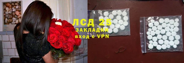 мяу мяу мука Аркадак
