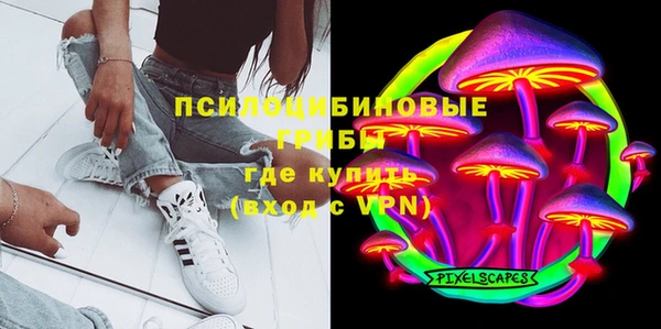 мяу мяу мука Аркадак