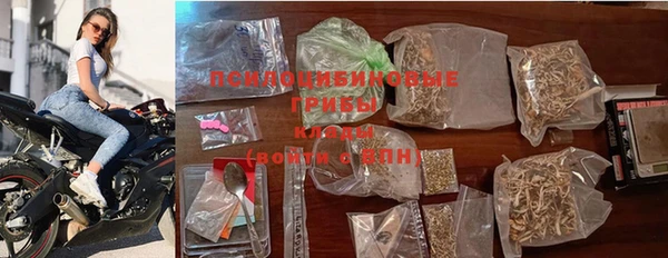 мяу мяу мука Аркадак