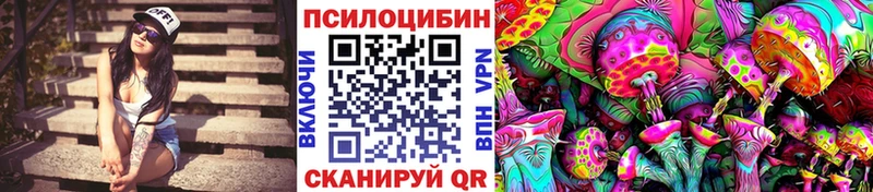 Купить где Теберда Галлюциногенные грибы прущие грибы